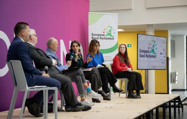 Panel session at the ERP