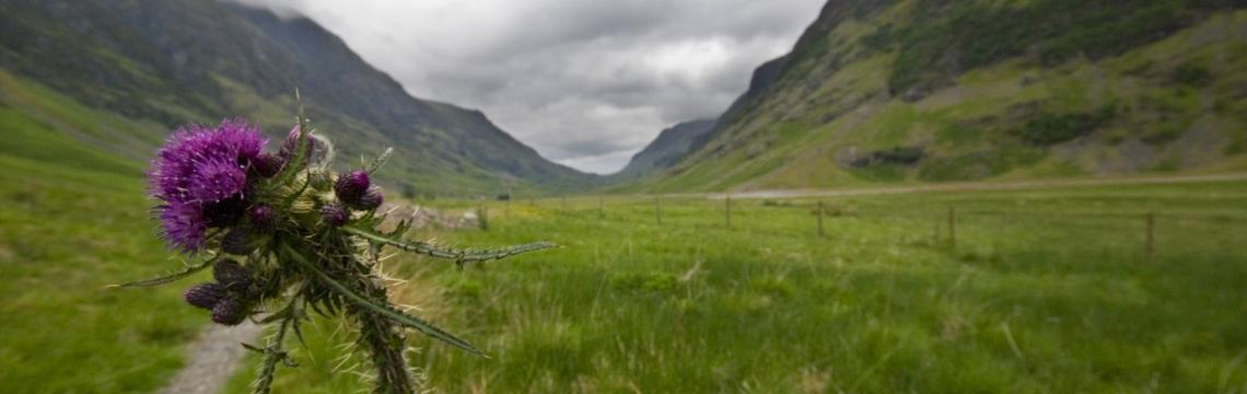Cost of living: impact on rural communities in Scotland | Scottish ...